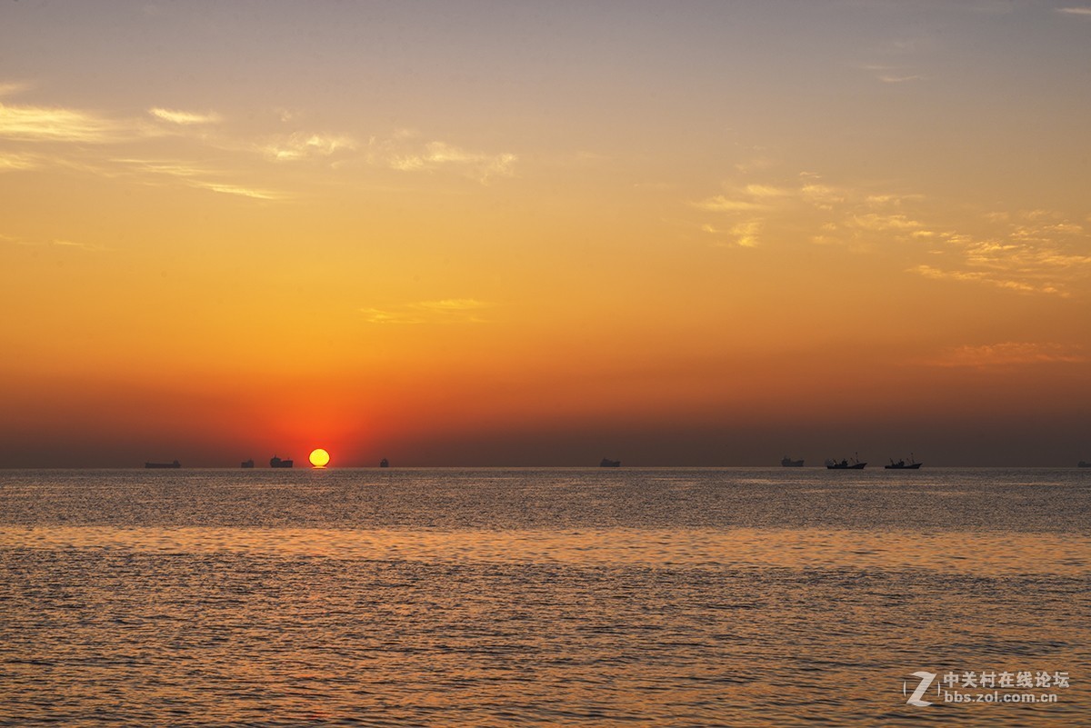 日出海花红胜火