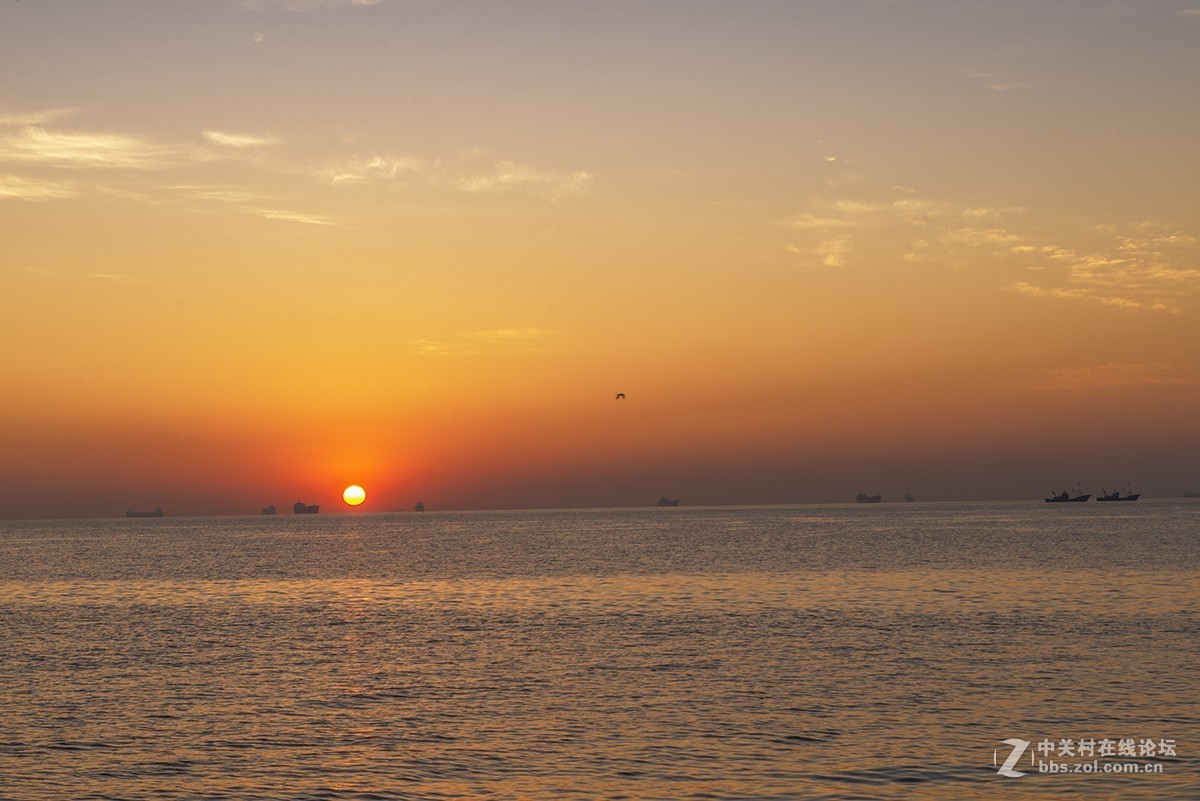 日出海花红胜火