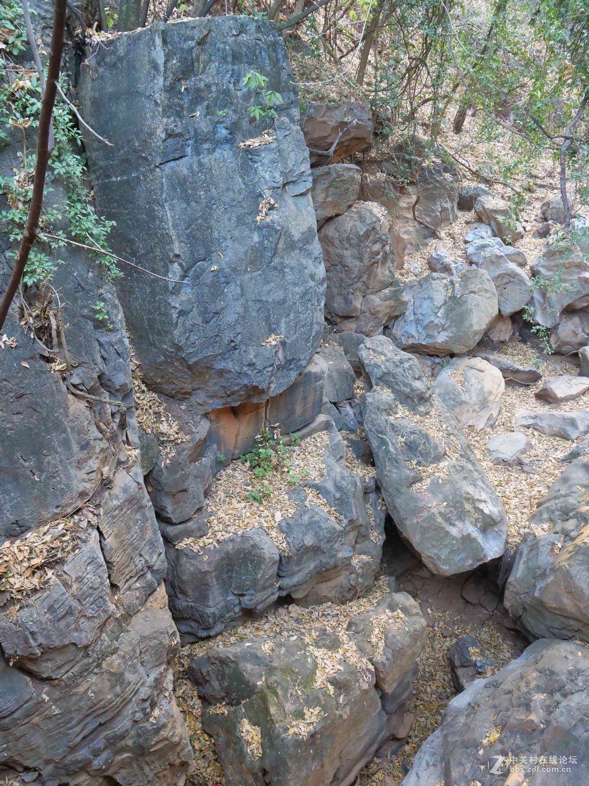 松下GH 5配松下12-60镜头拍摄弥渡天生桥