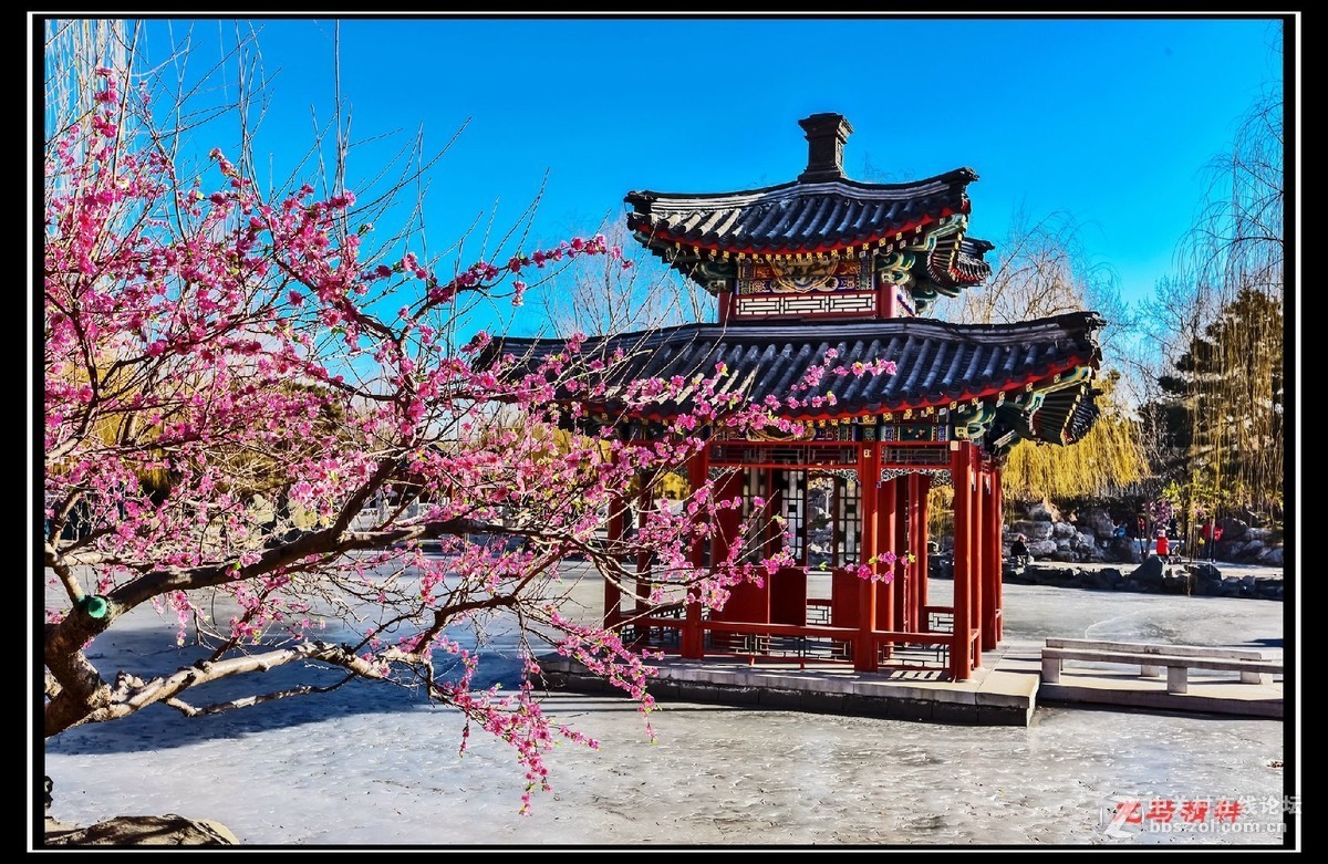 张灯结彩迎新年