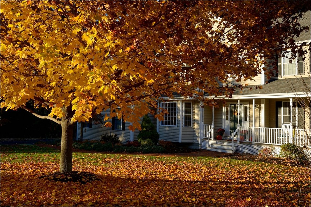 休闲随拍（253）