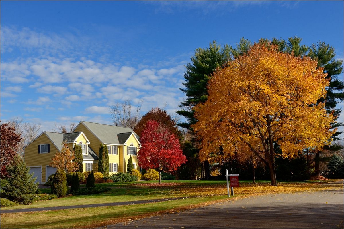 休闲随拍（253）