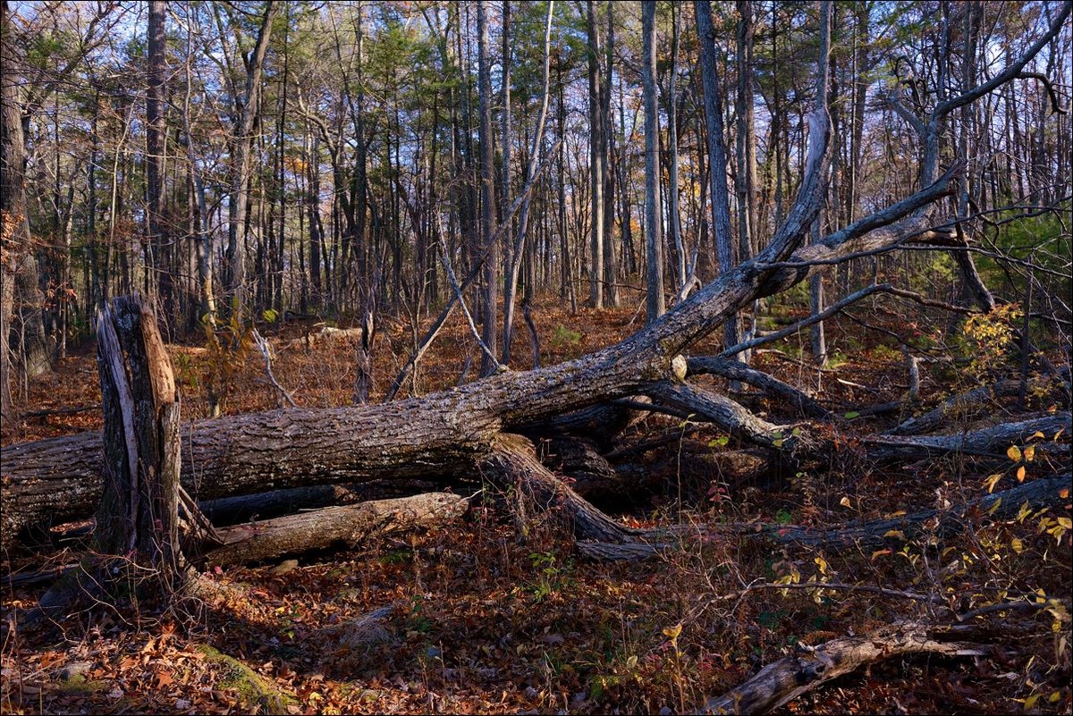 休闲随拍（253）