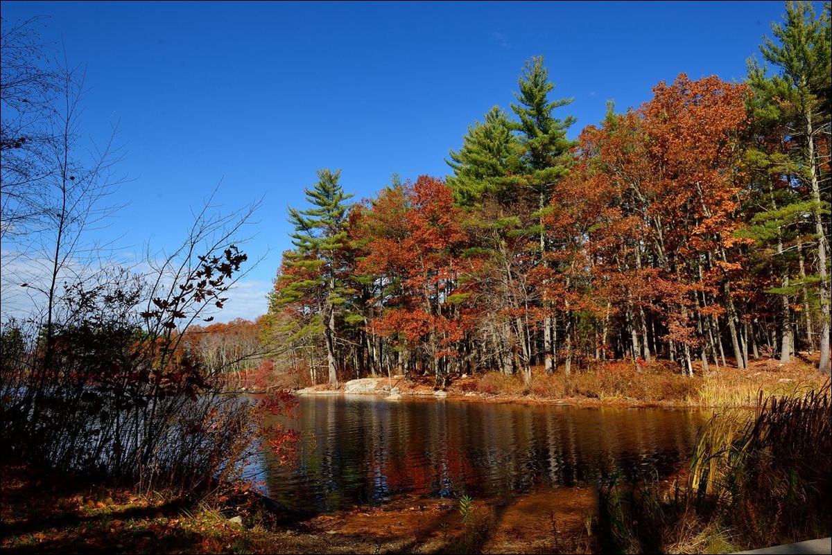 休闲随拍（253）