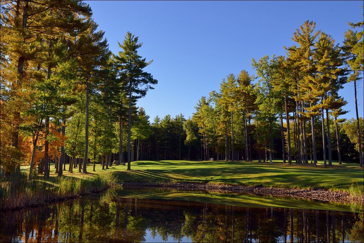 休闲随拍（280）