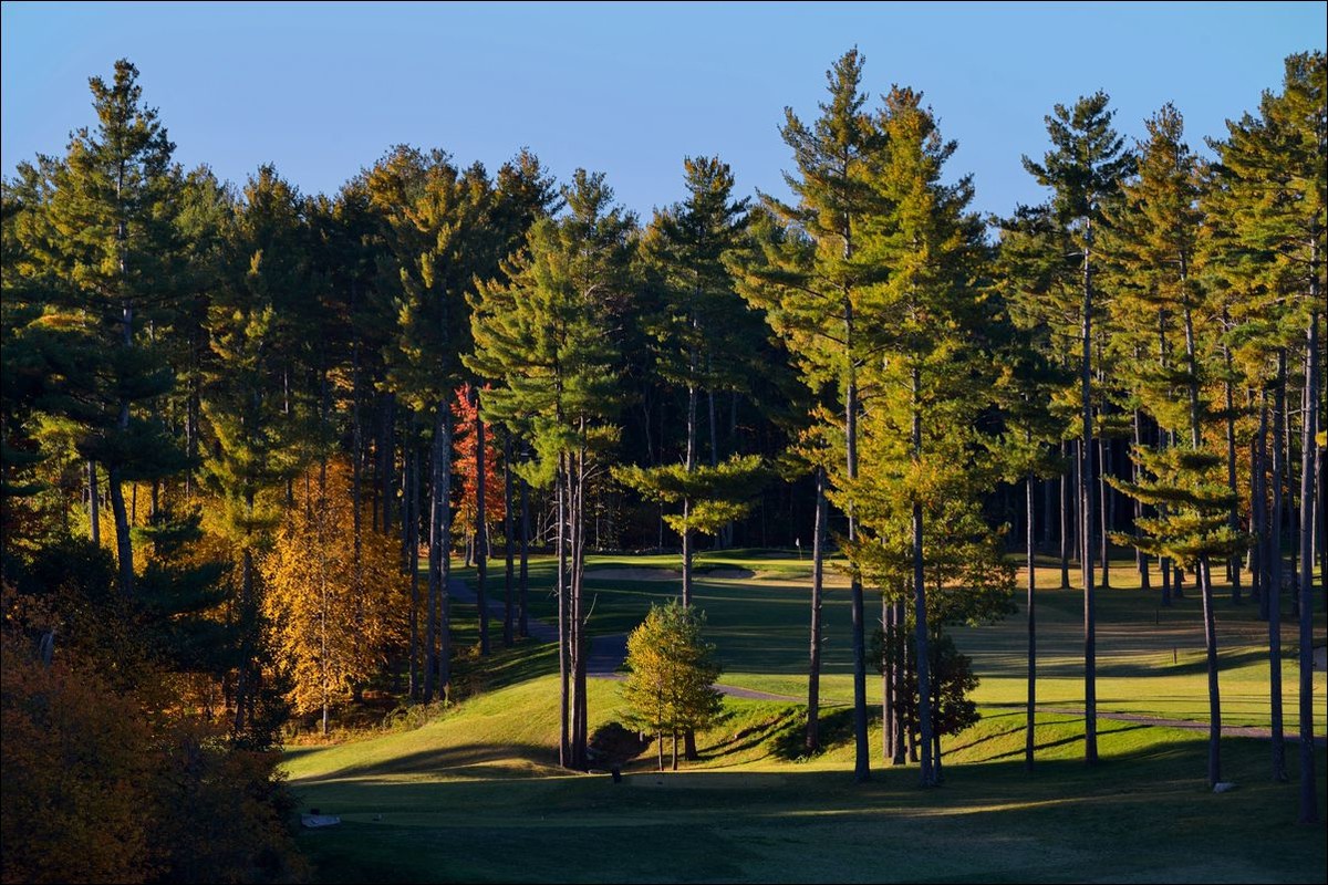 休闲随拍（280）