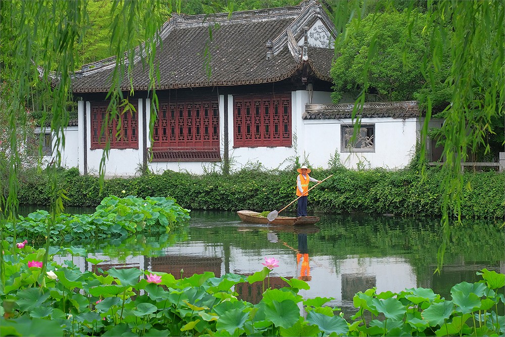 为荷而来~