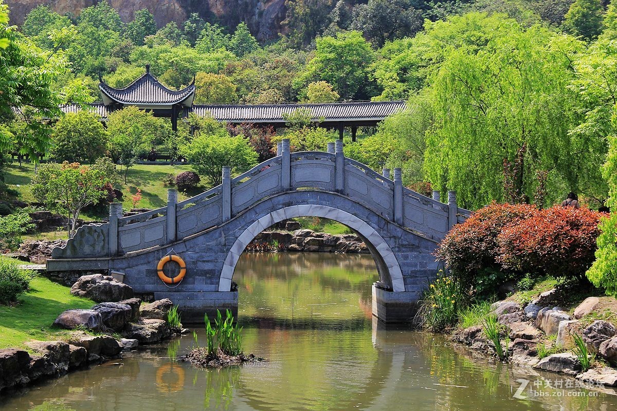 杨府山公园随拍2