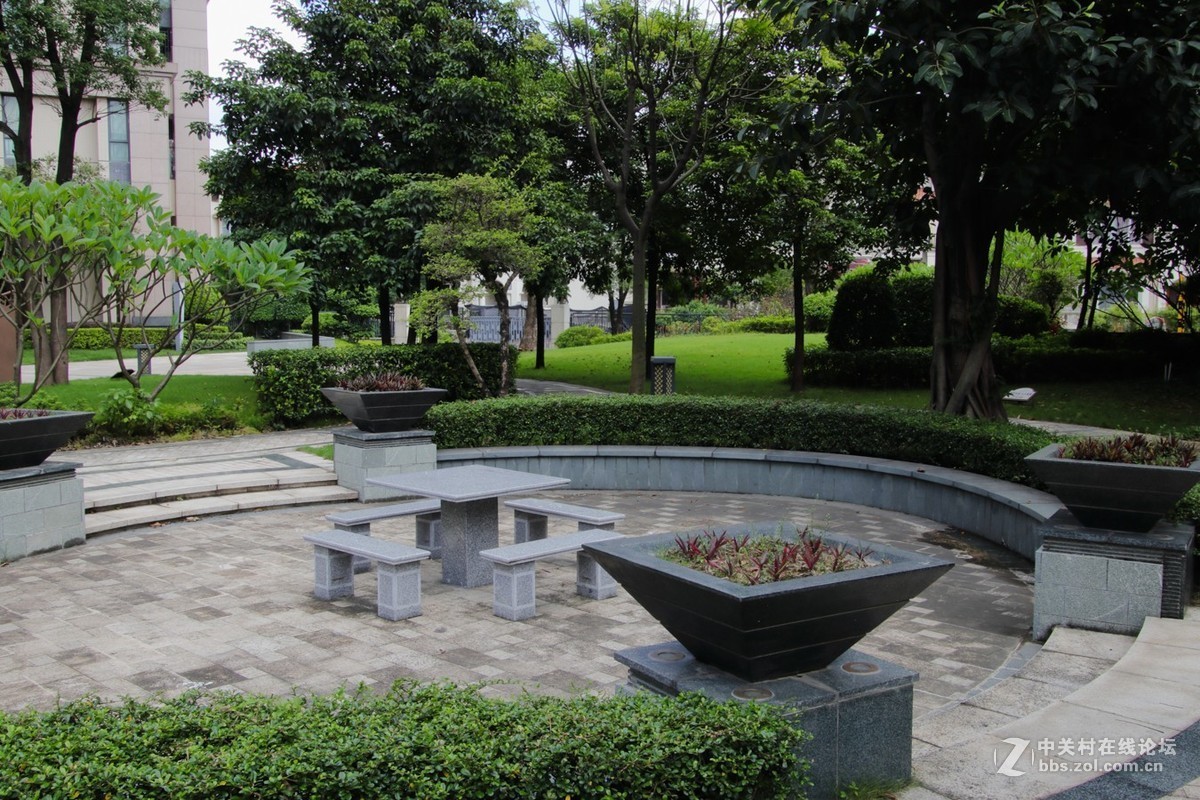 觉得最难拍摄清晰的是风景片