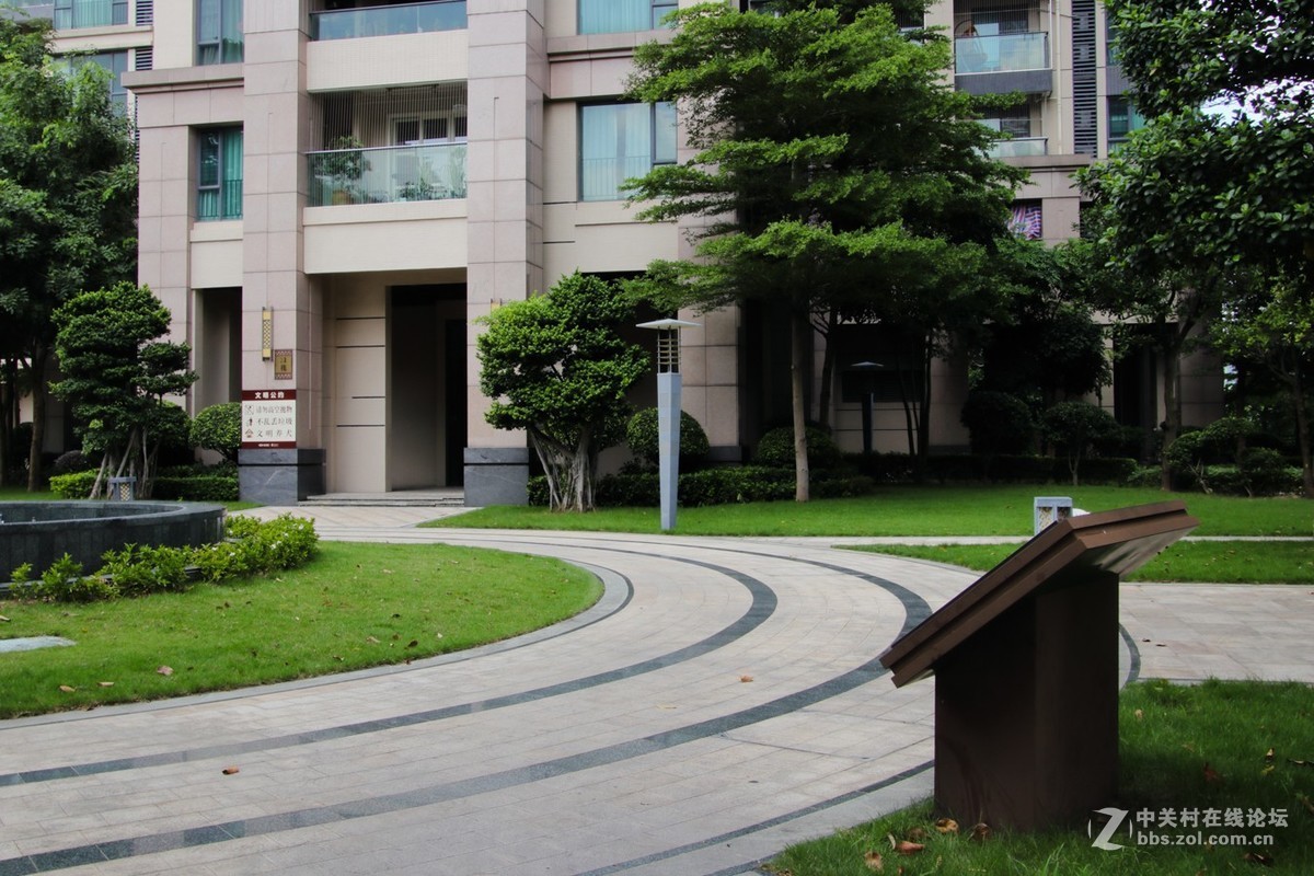 觉得最难拍摄清晰的是风景片