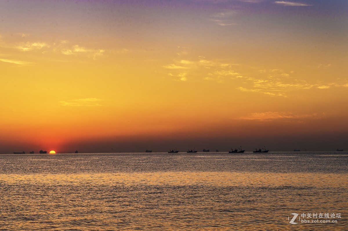 日出海花红胜火
