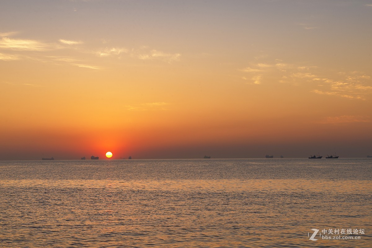 日出海花红胜火