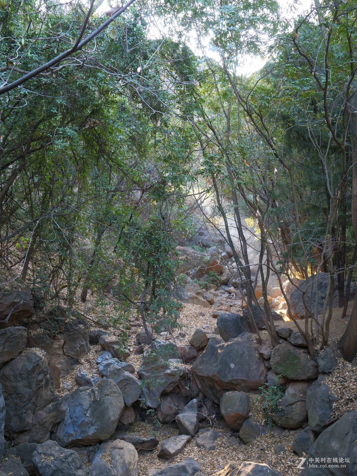 松下GH 5配松下12-60镜头拍摄弥渡天生桥