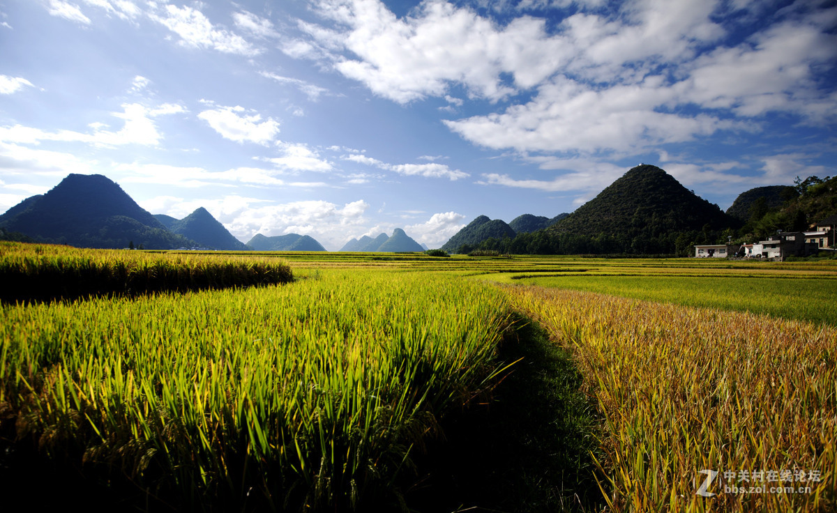 #2015MissChinajoy摄影大赛#+民族生活纪实