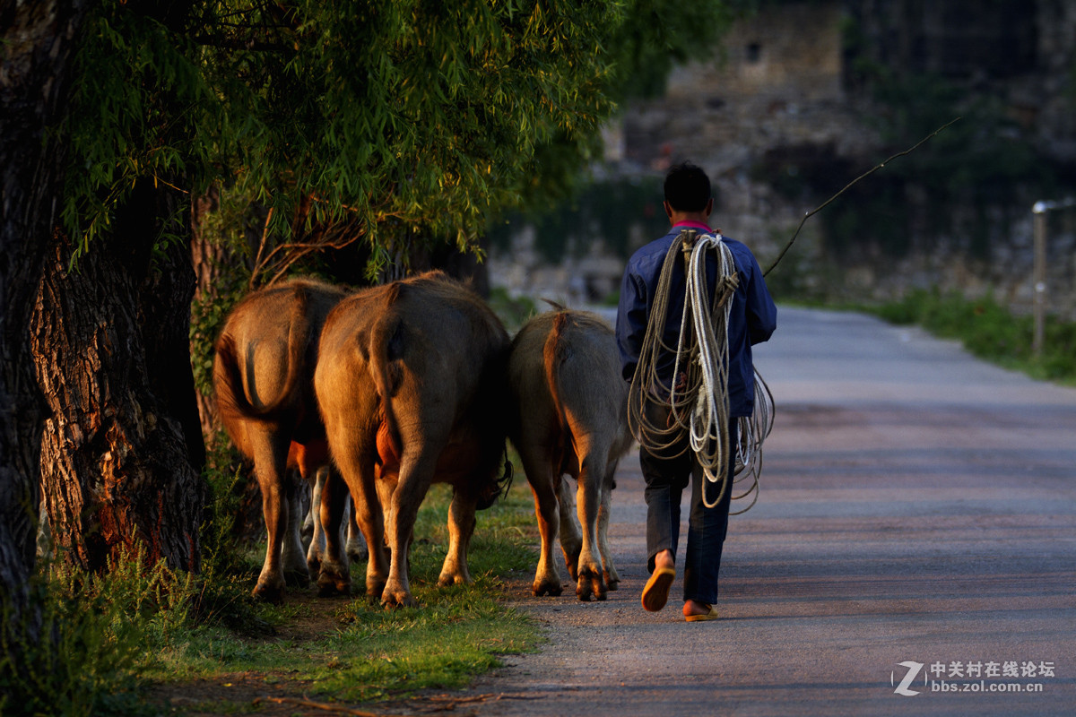 #2015MissChinajoy摄影大赛#+民族生活纪实