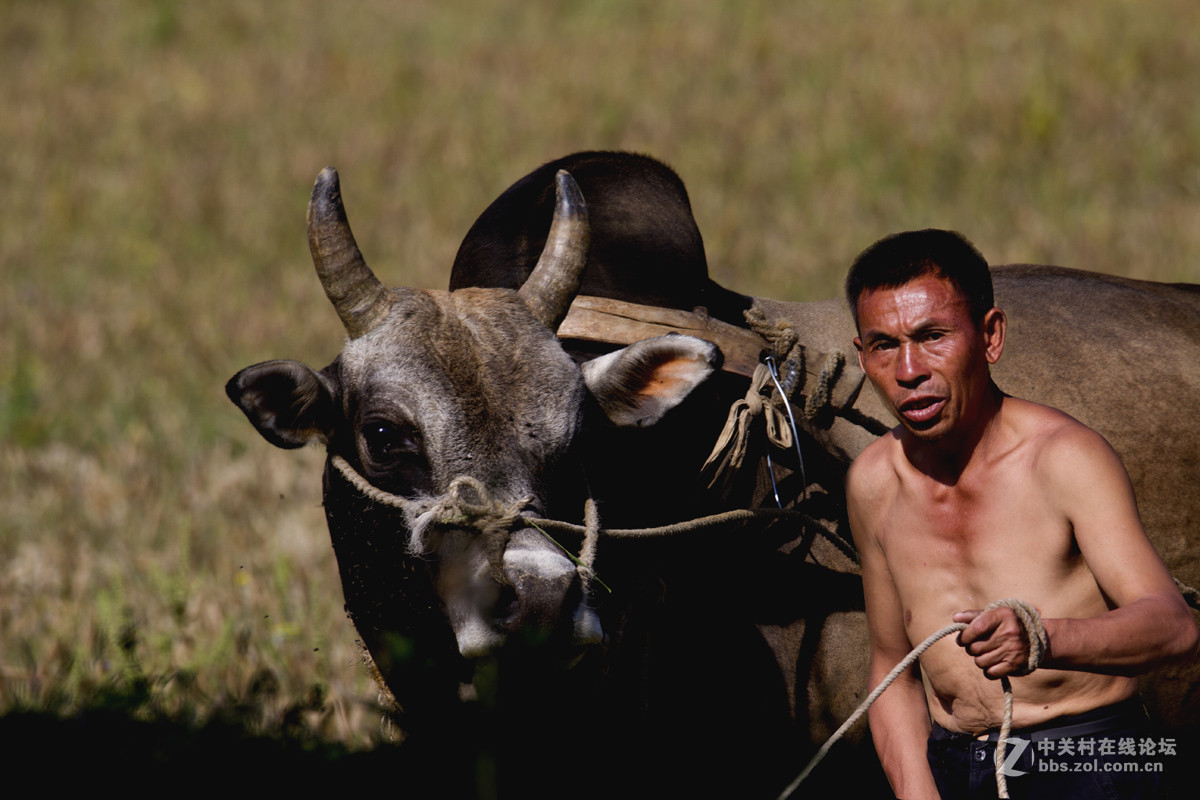 #2015MissChinajoy摄影大赛#+民族生活纪实