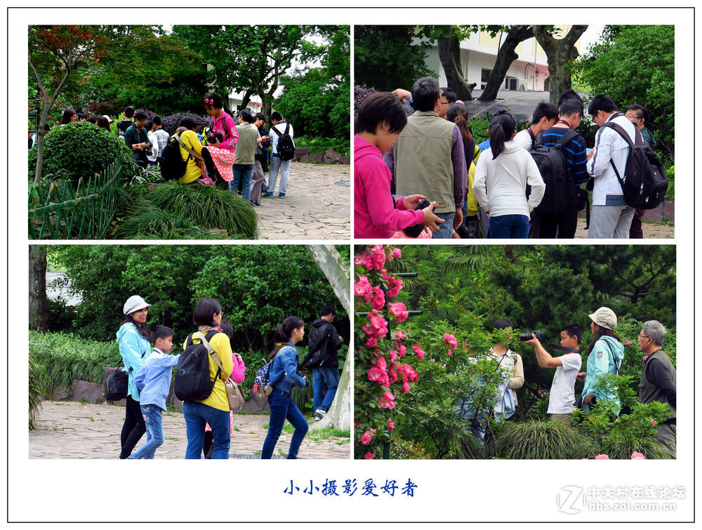小小摄影爱好者