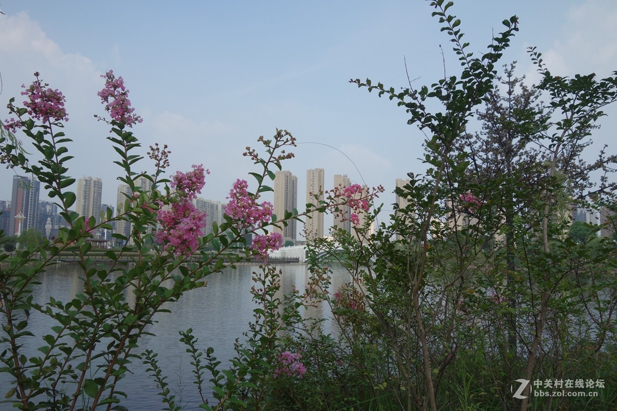 小景致
