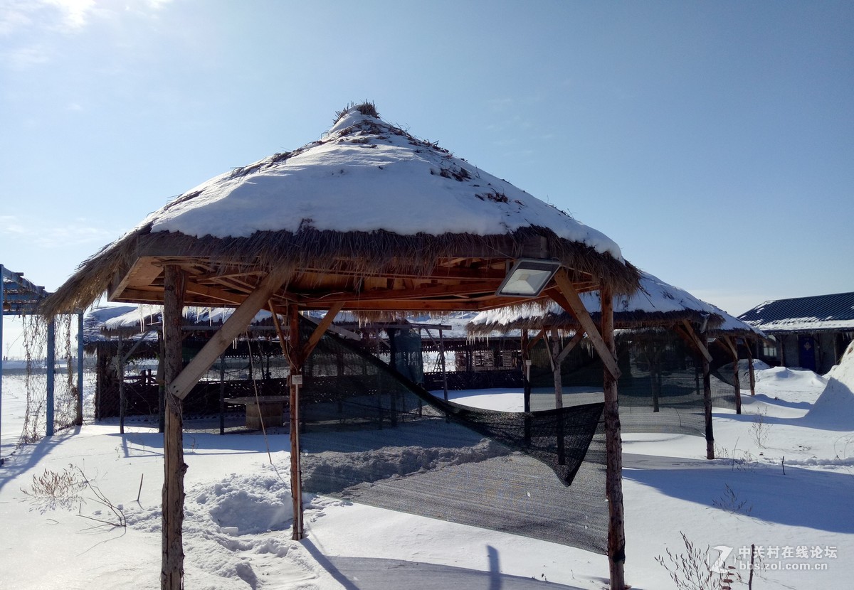 #2017小锄头全民手机摄影大赛#    《小锄头风光》