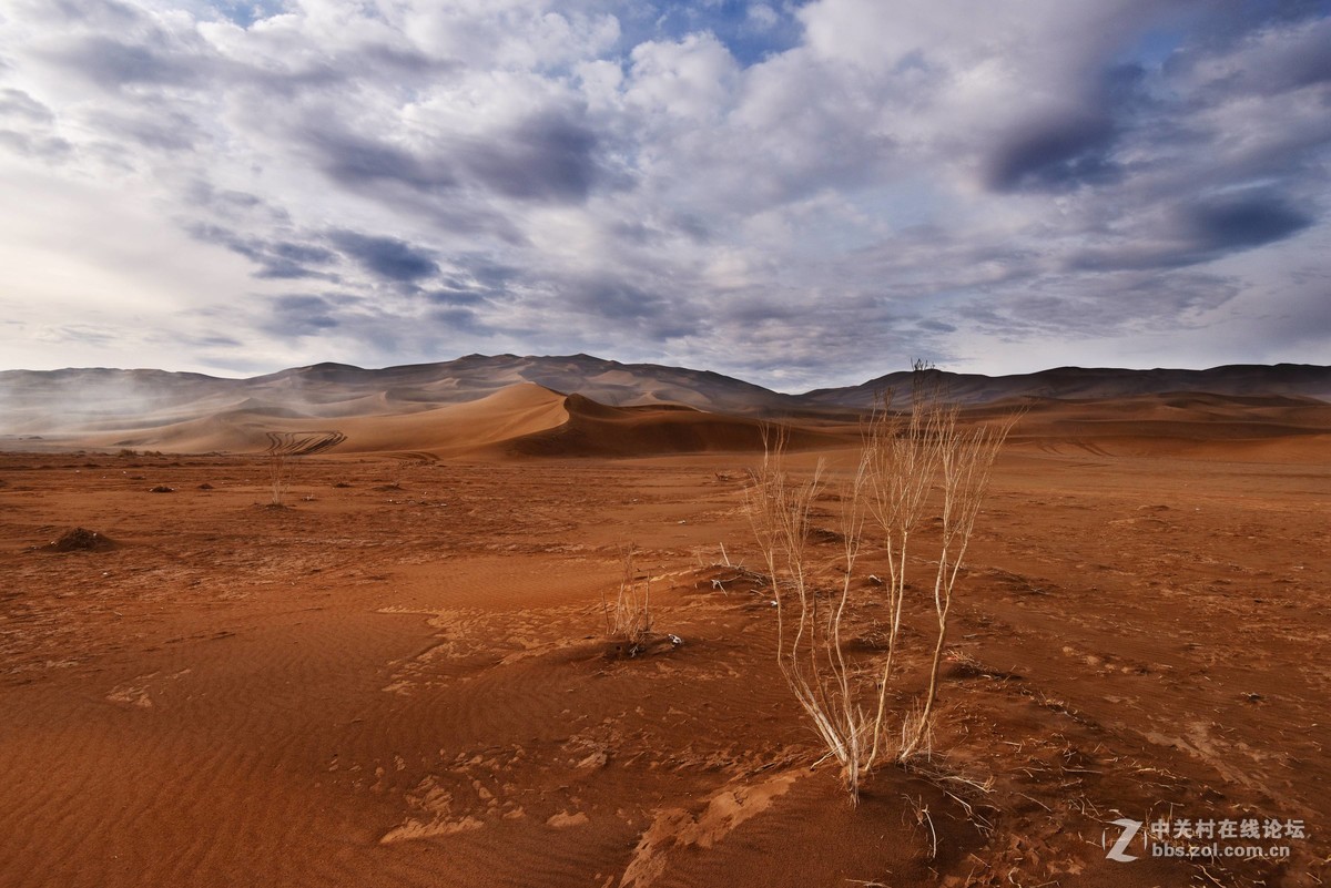 雨后的库姆塔格沙漠