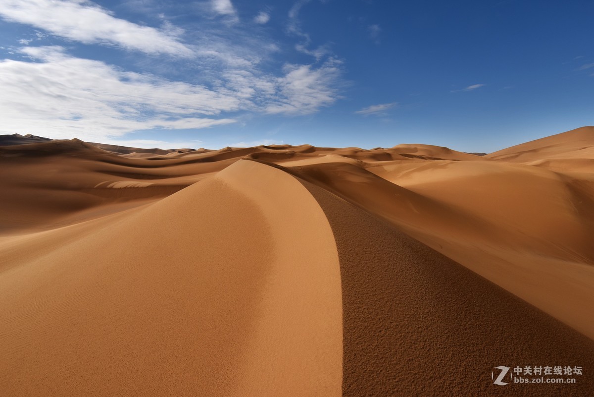 雨后的库姆塔格沙漠