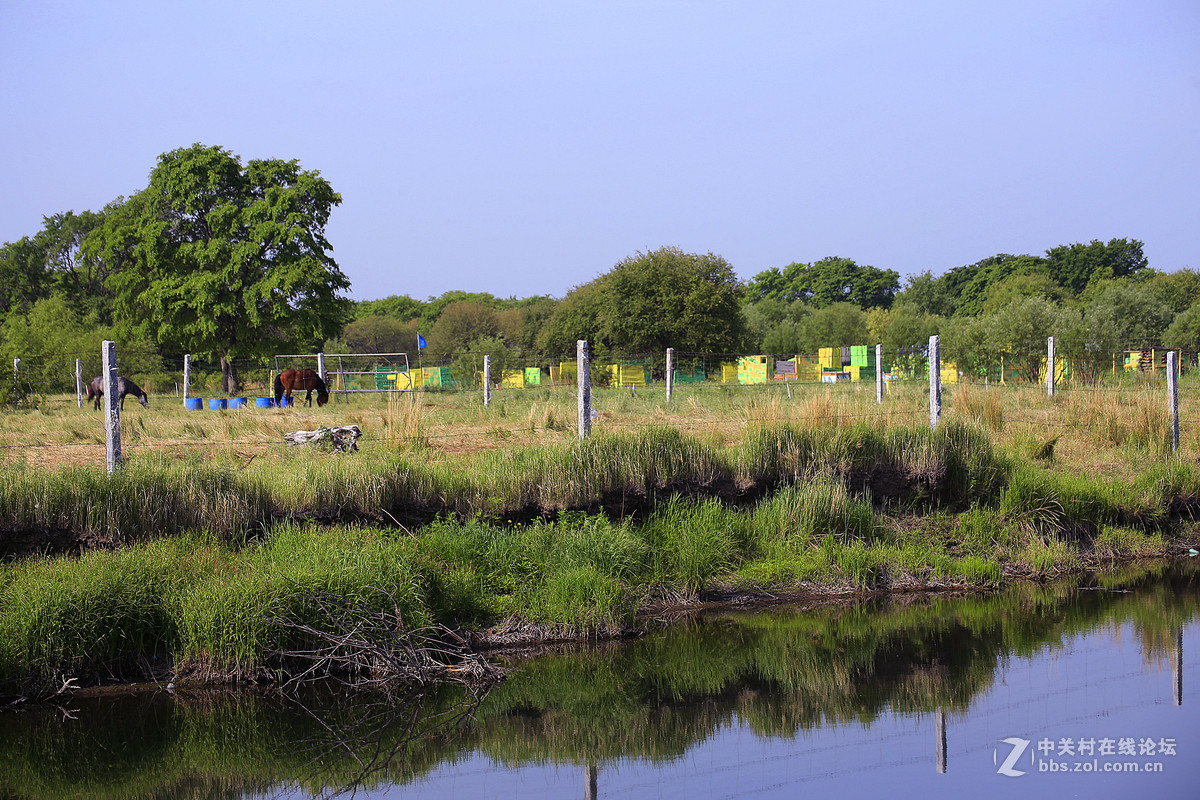 【天然钓场】鄂伦春库布多尔猎民村随拍