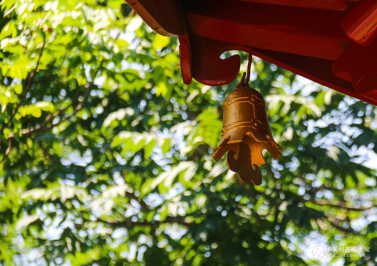 入手70D分享，老师们帮我评价一下，希望再进步