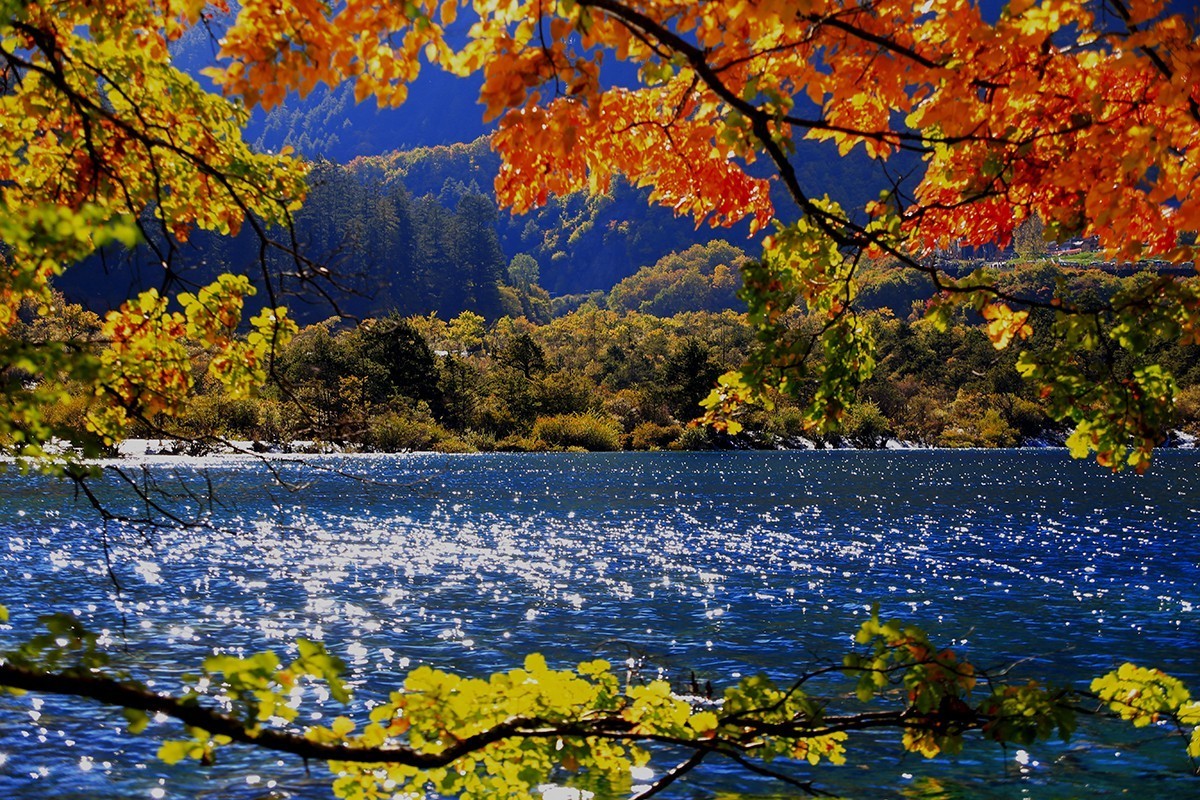 追忆九寨沟火花海