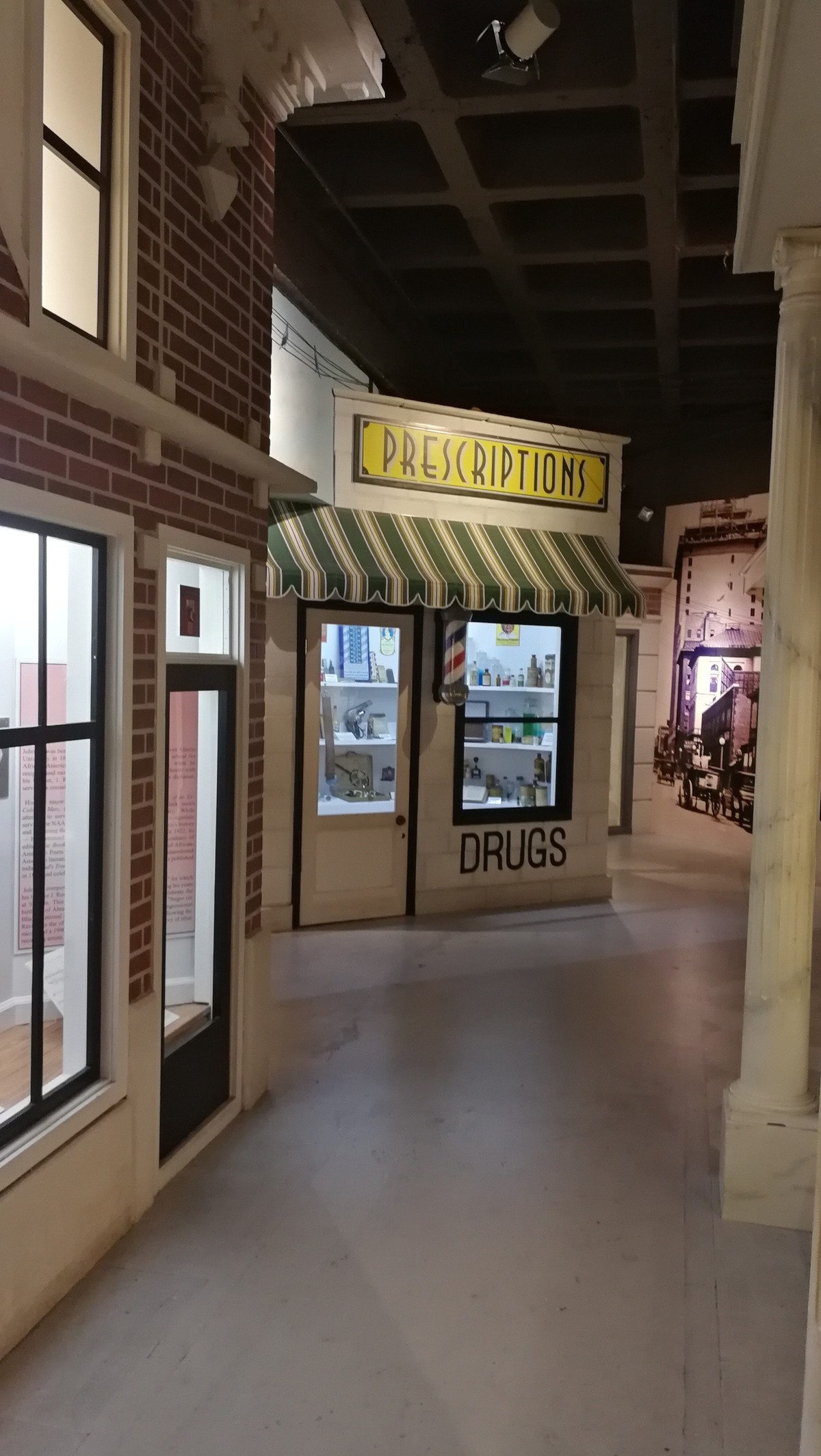 参观杰克逊维尔市自然与历史博物馆 2