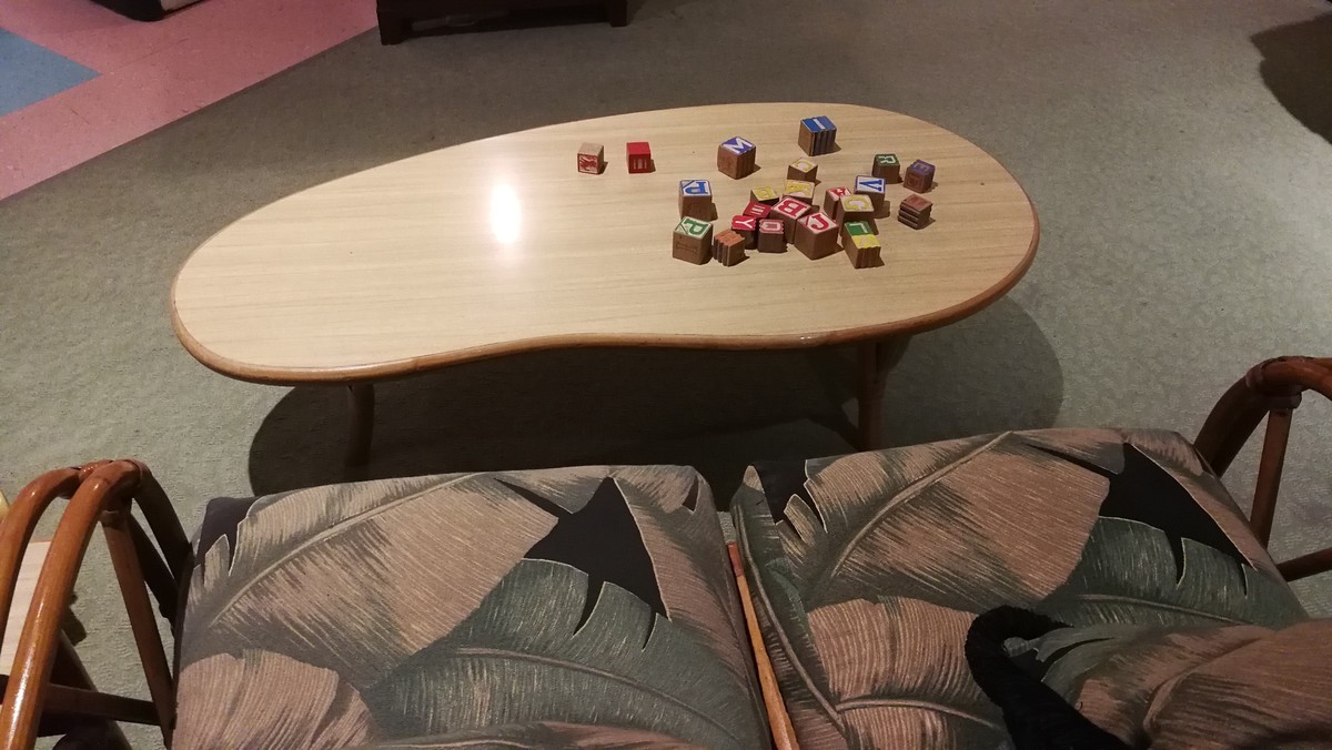 参观杰克逊维尔市自然与历史博物馆 2