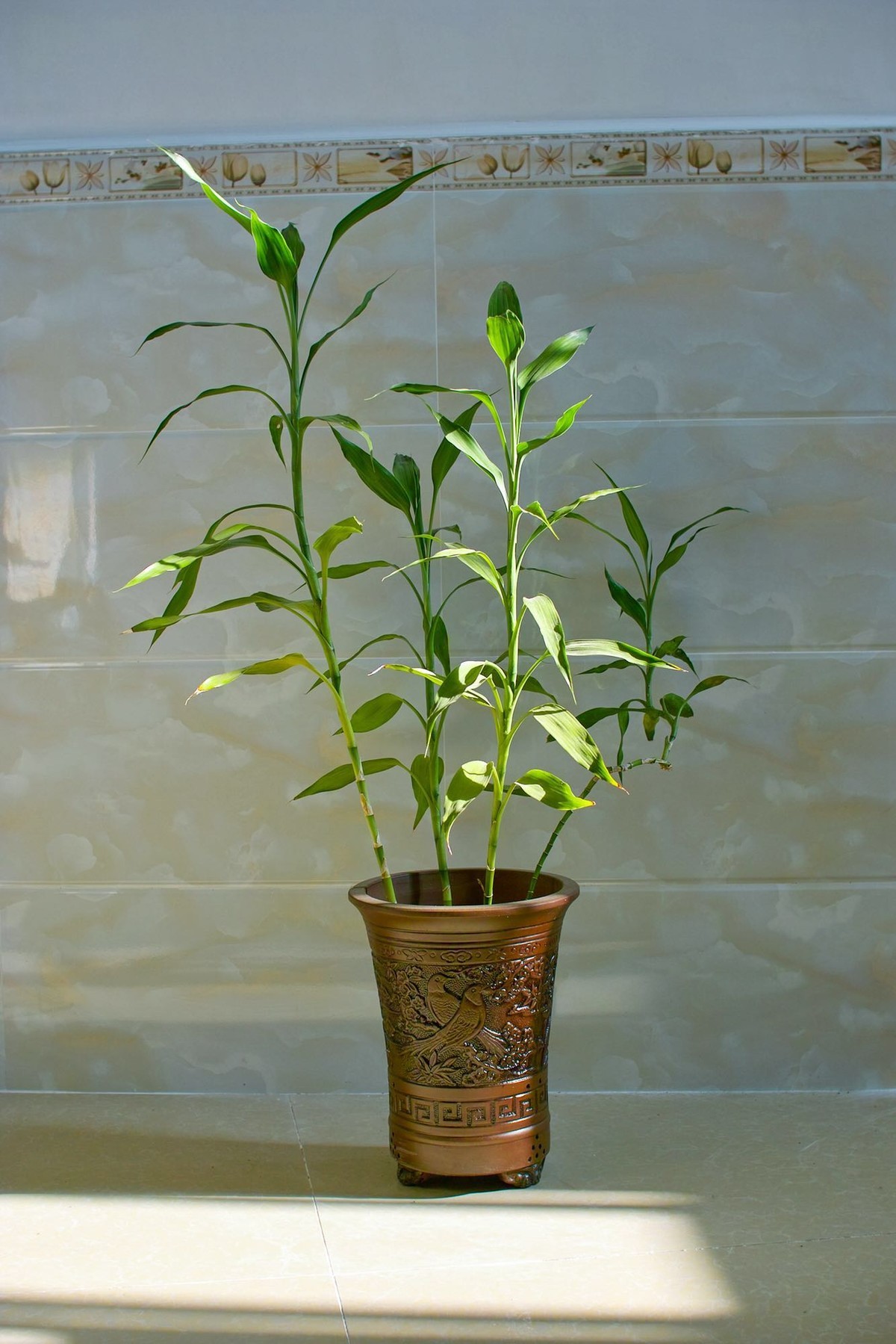 适马sd14 感受一下老X3的味道