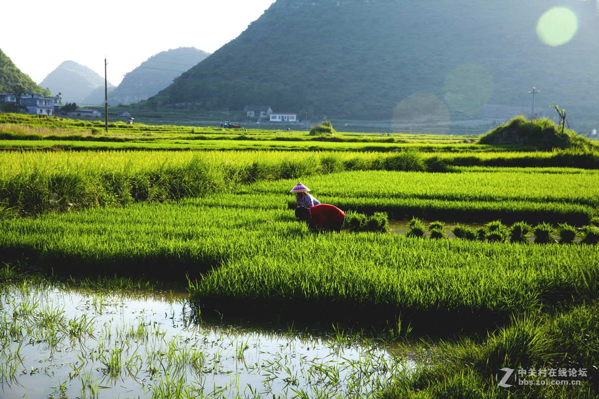 #2015MissChinajoy摄影大赛#+民族生活纪实