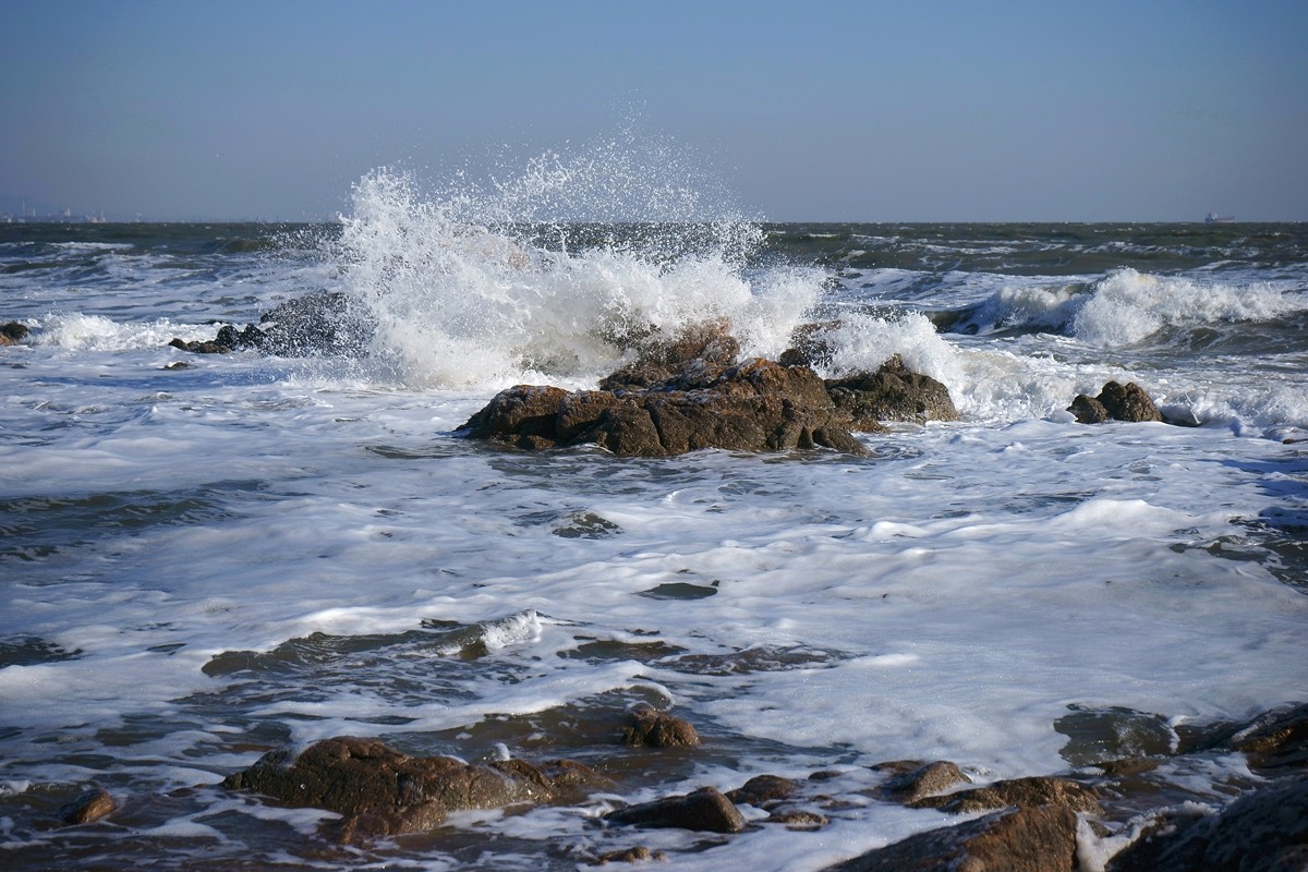 康平海浪花图片