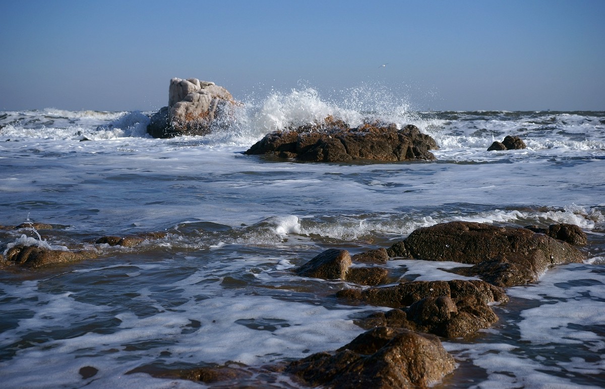 海浪花