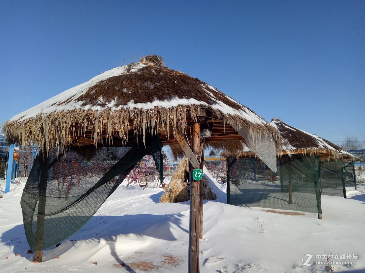 #2017小锄头全民手机摄影大赛#    《小锄头风光》