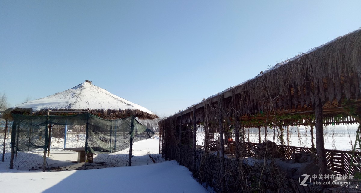 #2017小锄头全民手机摄影大赛#    《小锄头风光》