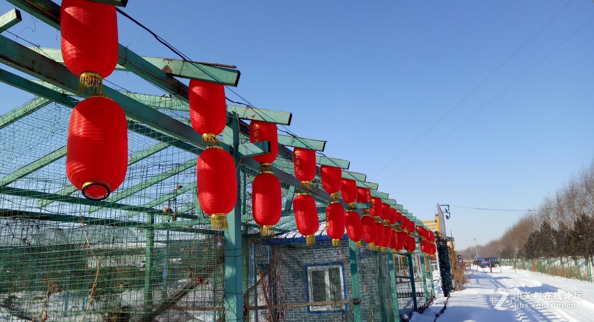 #2017小锄头全民手机摄影大赛#    《小锄头风光》