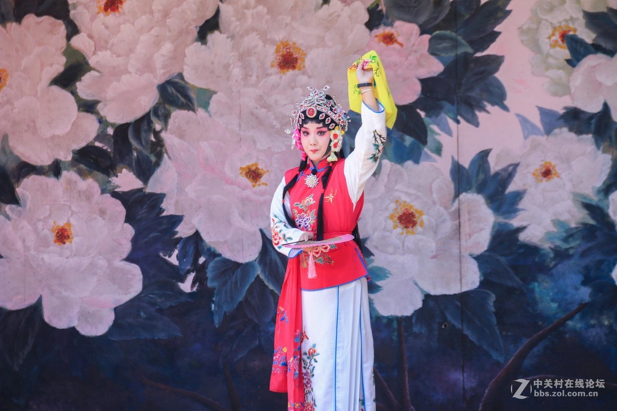 入手70D分享，老师们帮我评价一下，希望再进步