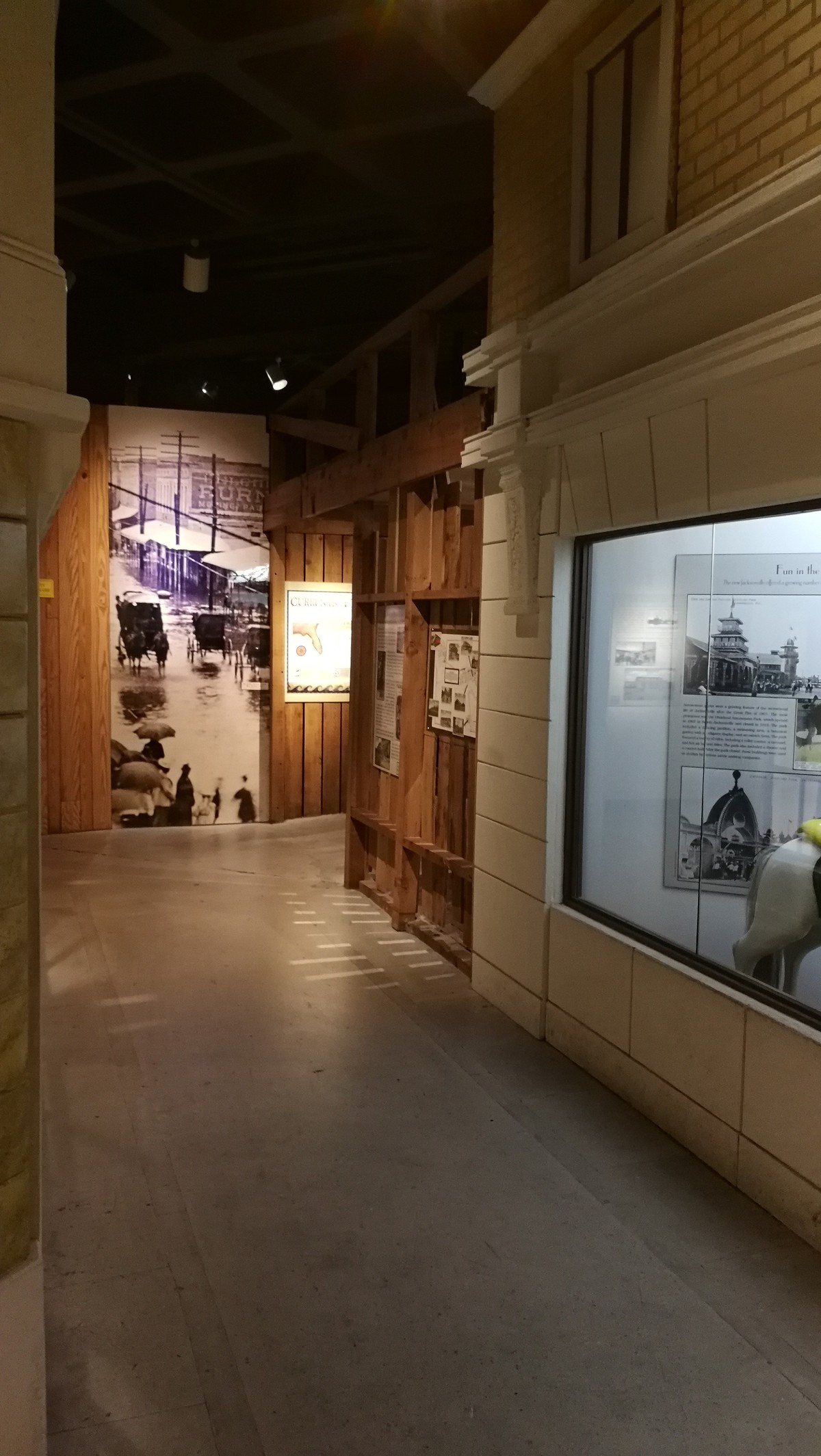 参观杰克逊维尔市自然与历史博物馆 2