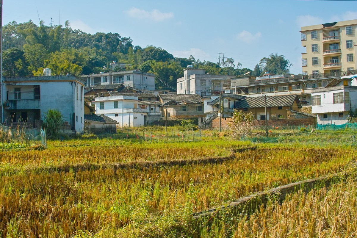 适马sd14 感受一下老X3的味道