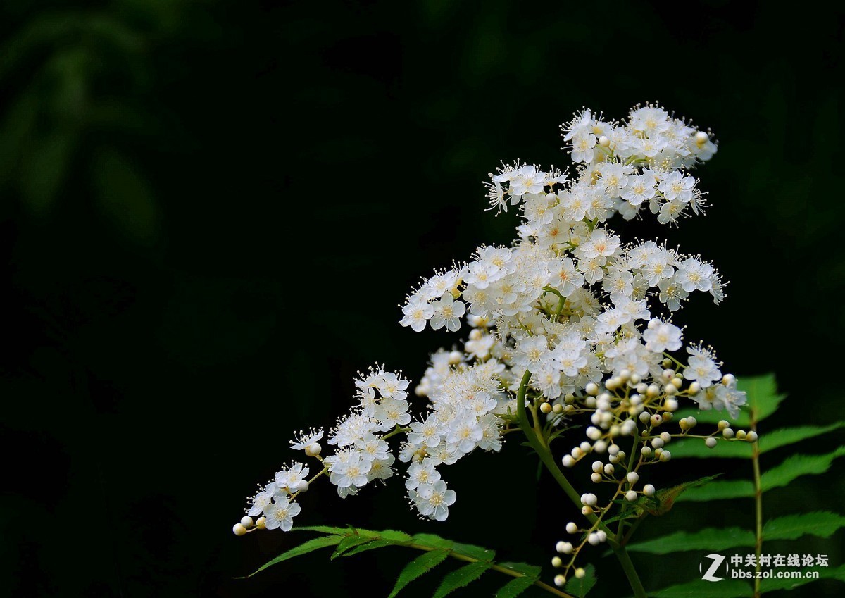 #版主坐堂# 小五星空(中国)九月精品荟萃