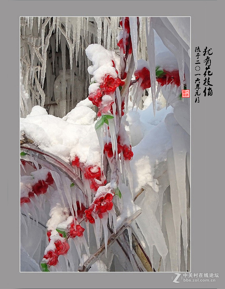 【  犹有花枝俏  】