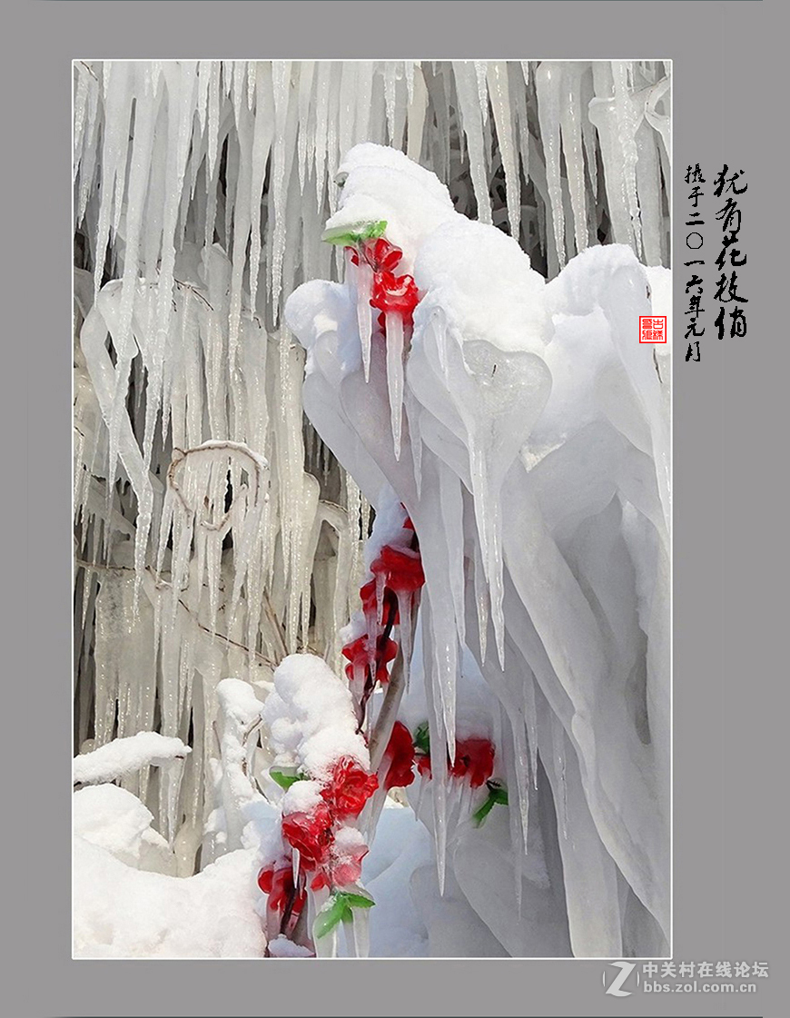 【  犹有花枝俏  】