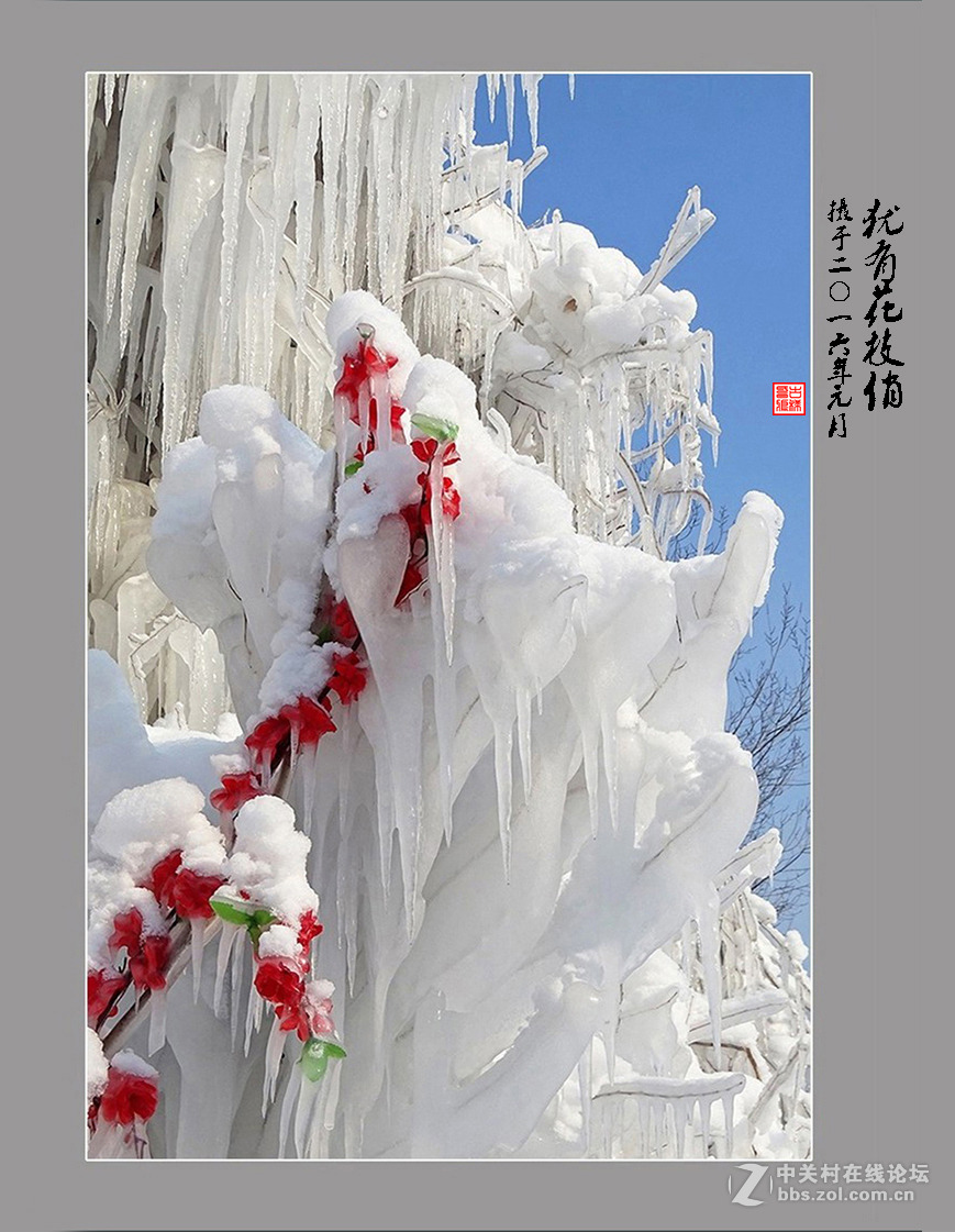 【  犹有花枝俏  】