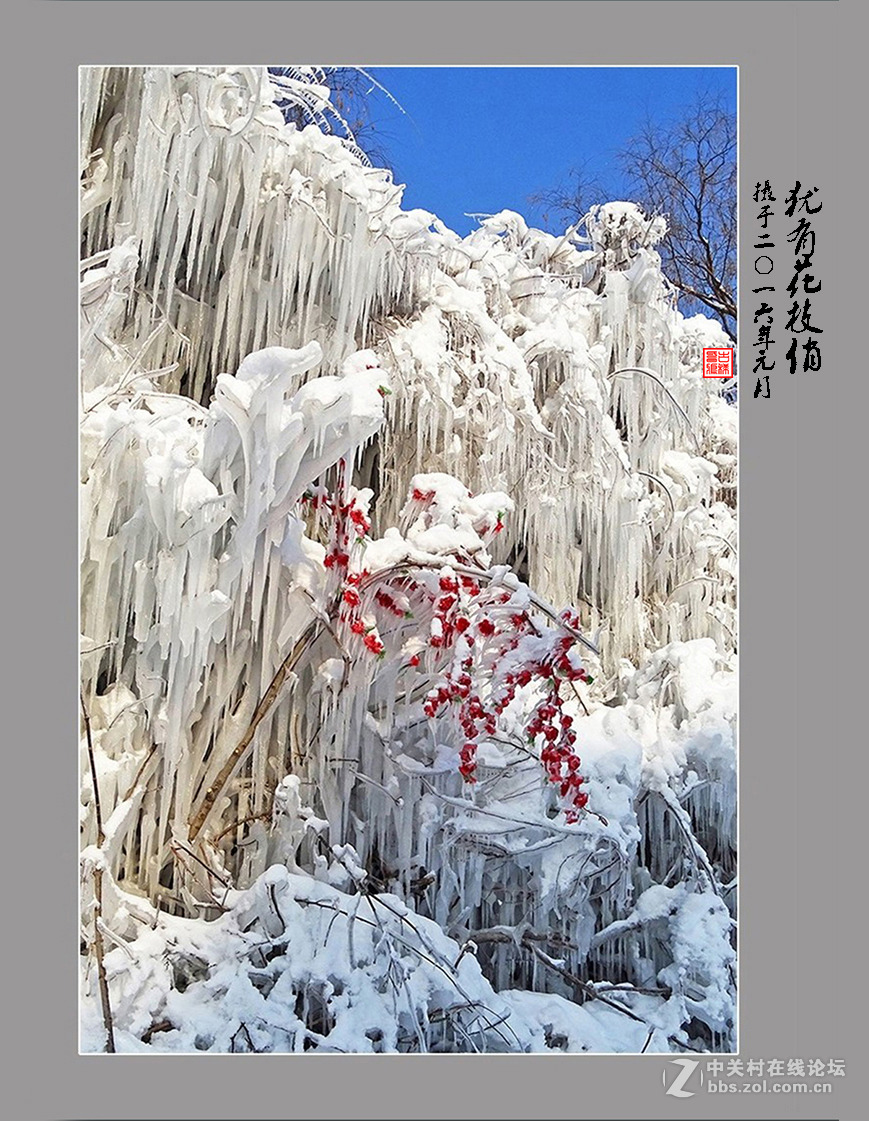 【  犹有花枝俏  】