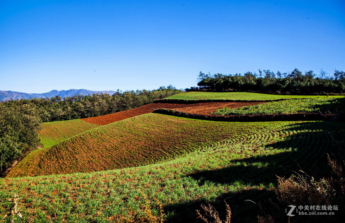 东川红土地之（四）——红土地大观