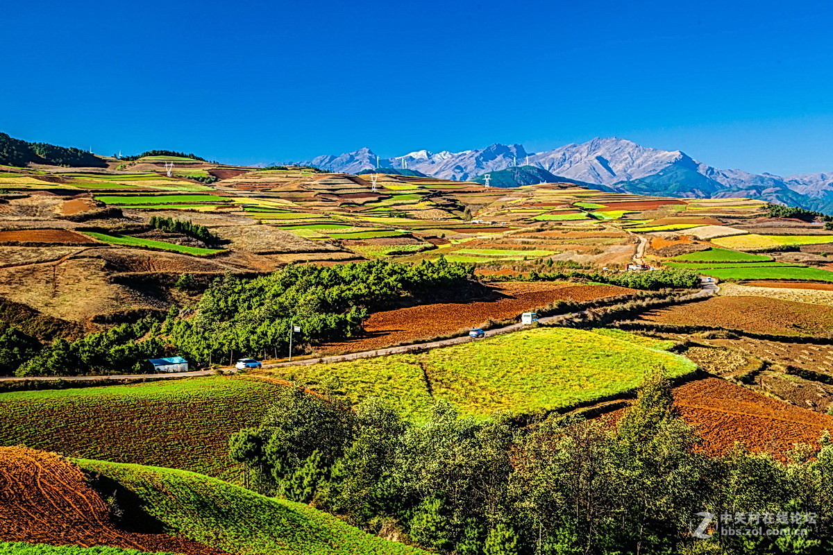 东川红土地之（四）——红土地大观