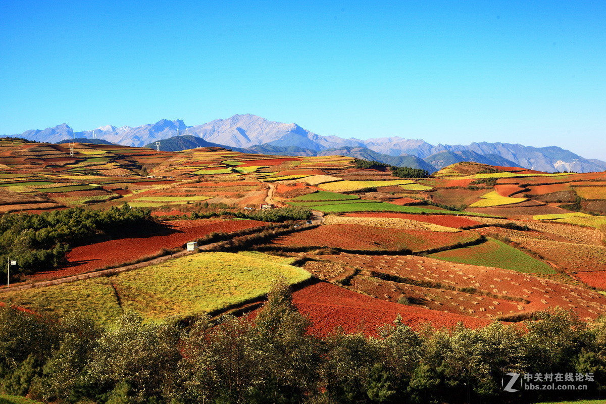 东川红土地之（四）——红土地大观