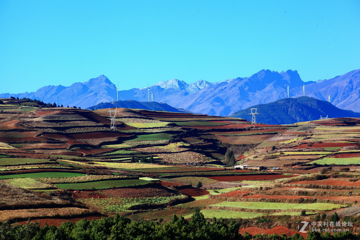 东川红土地之（四）——红土地大观