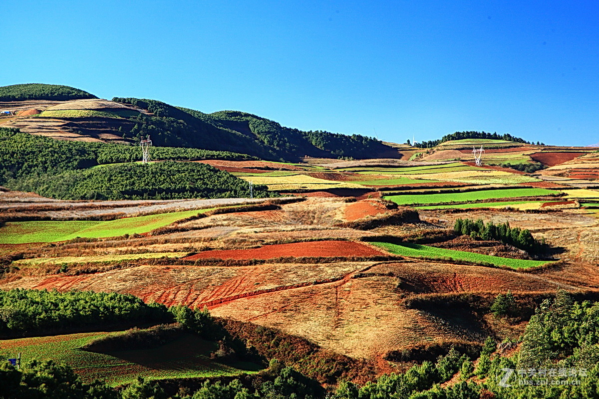 东川红土地之（四）——红土地大观